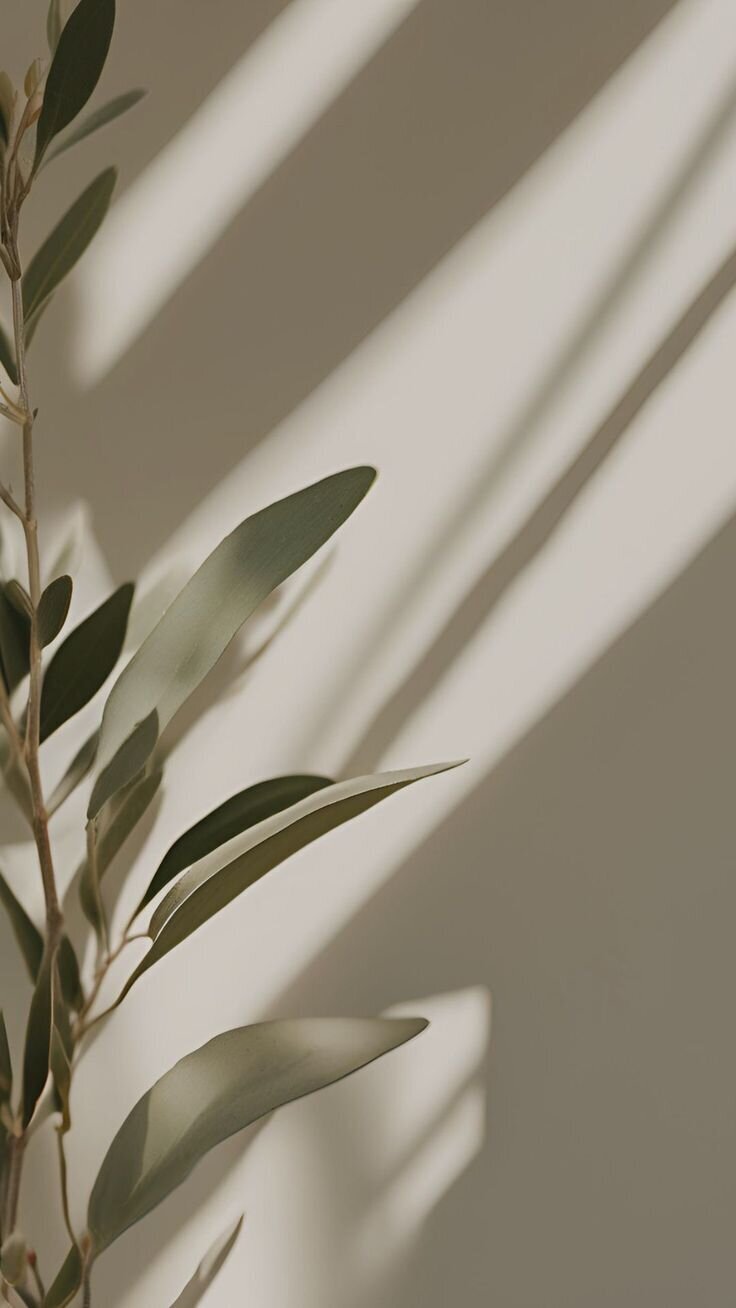 Fertility Acupuncture | Natural Support for Your Pregnancy Journey